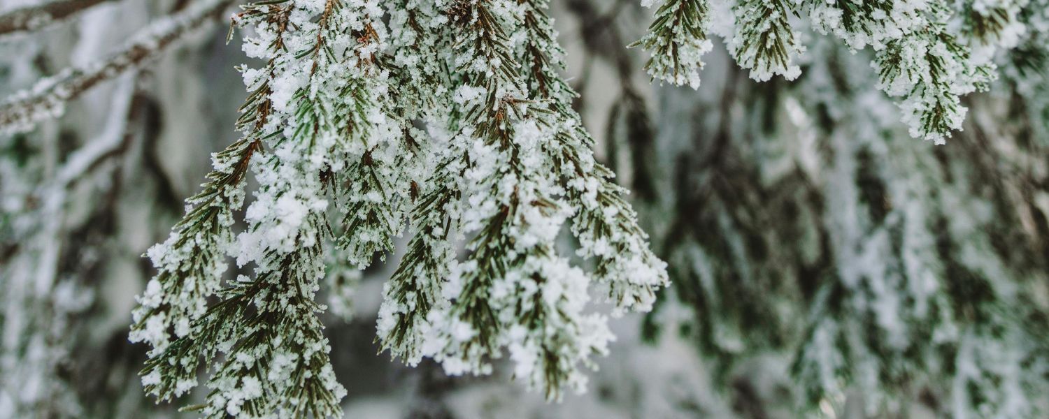 Het winterklaar maken van hogedrukpompen