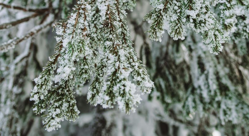 Het winterklaar maken van hogedrukpompen