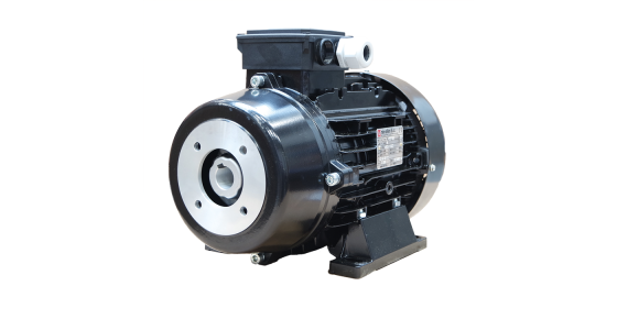 Nicolini elektromotor 18.5 kW - 400/690V - 3-fase - KTR Flexibele koppeling