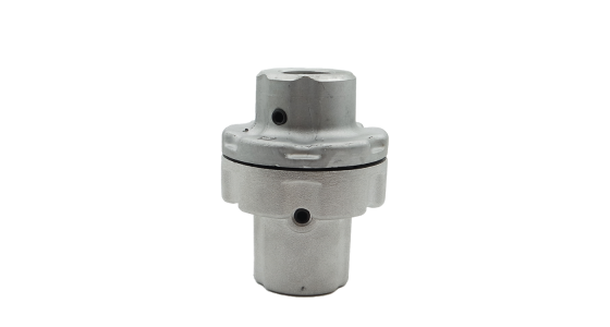 Interpump flexibele koppeling ZGWW94