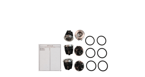 Interpump Kit 43 kleppenset (6x), gezien van voren