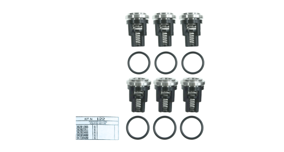 Interpump Kit 122 kleppenset (6x), gezien van voren