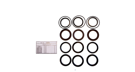 Interpump Kit 300 - Manchetset Ø40 mm (3x)