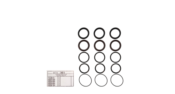 Kit 301 afdichtingset voor 3 plunjers D=45